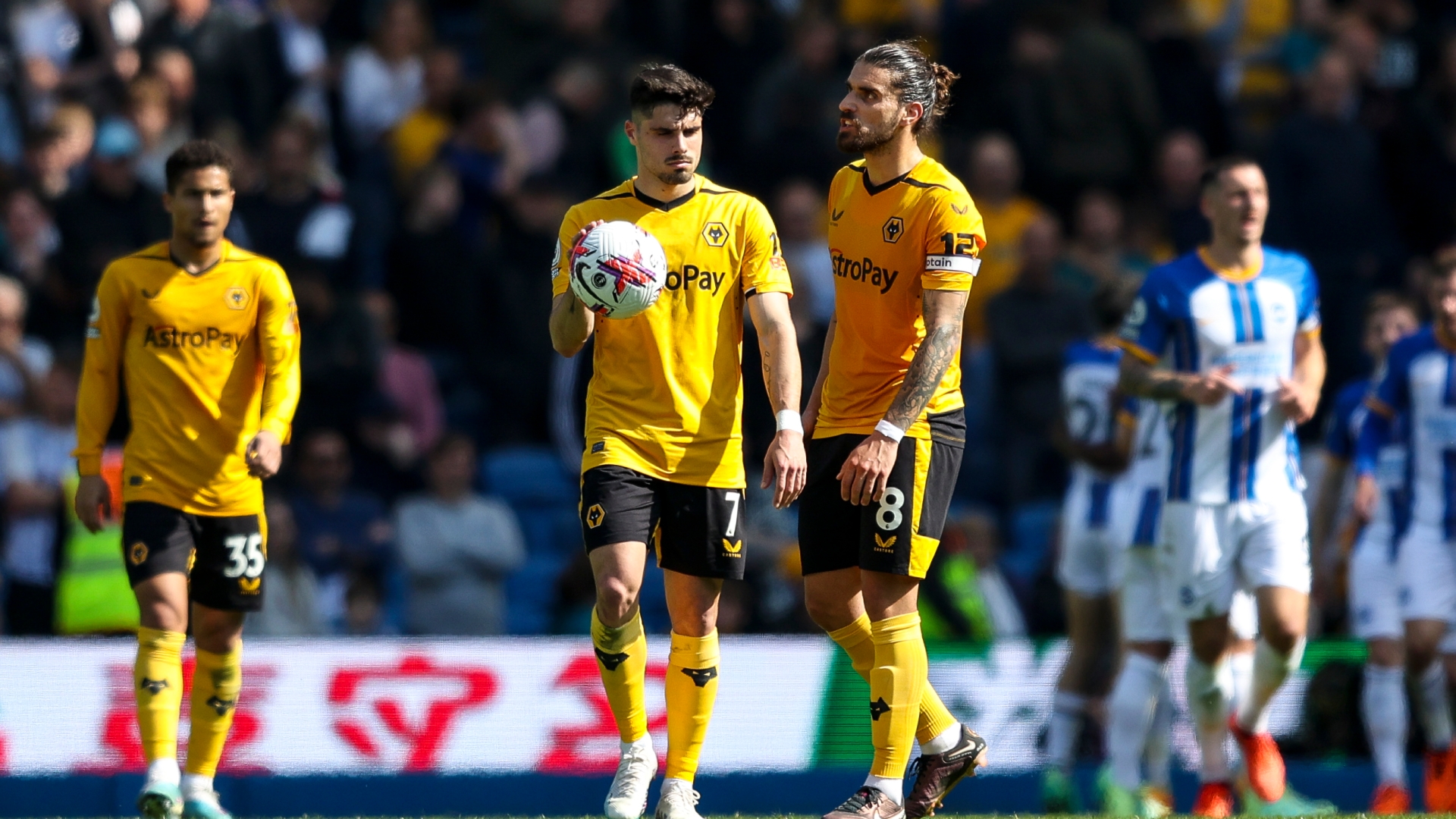 Wolves fans should be offered Spurs-style refund for ’embarrassing’ 6-0 defeat to Brighton