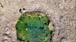 Inside the ‘White Gold’ Rush to Mine American Lithium and Make Millions