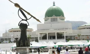 Scandalous gender imbalance in 10th NASS