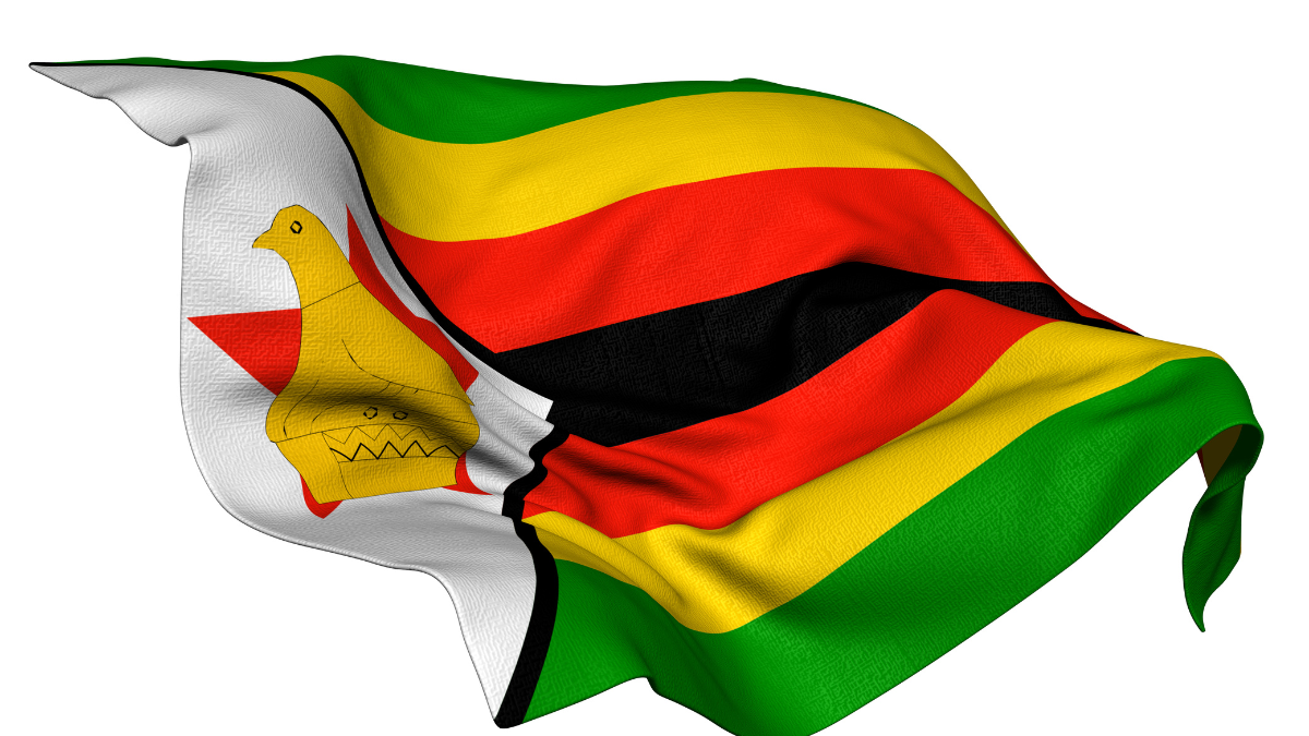 Zimbabweans face deportation from South Africa as special visa terminated – Katzenellenbogen