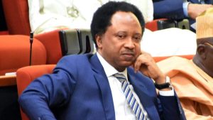 Kaduna, the only state in Africa where 125 people are killed and 80 kidnapped in 60 days – Shehu Sani says