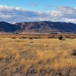 US desert grassland collapse is linked to changes in the Pacific Ocean