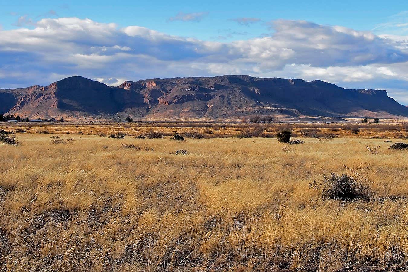 US desert grassland collapse is linked to changes in the Pacific Ocean