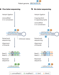 Speed reading the epigenome and genome