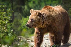 No, Bitcoin has never seen a bear market before – This time it’s different