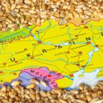 Pain and Grain in Central Europe