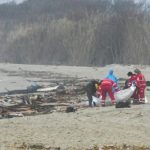 Over 20 feared dead in Italy shipwrecks