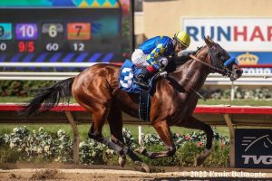 2023 Preakness Stakes Trifecta Picks: Best 1-2-3 Tips For The Run for the Black-Eyed Susans