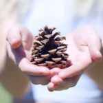 a16z and Others Invest $100M in AI Startup Pinecone in Series B Funding