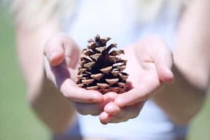 a16z and Others Invest $100M in AI Startup Pinecone in Series B Funding