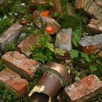 Weeds grow at London’s Chelsea Flower Show