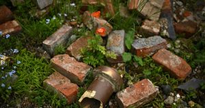 Weeds grow at London’s Chelsea Flower Show