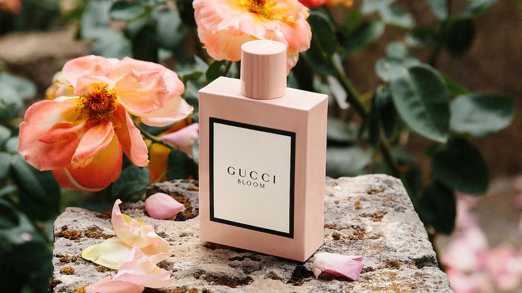 15 Best Female Perfumes in The World