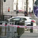 Man arrested after crashing car into gates of Downing Street in London