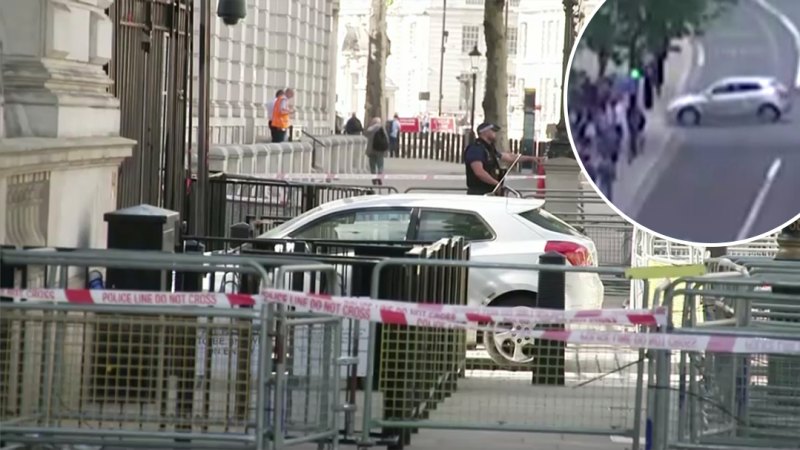 Man arrested after crashing car into gates of Downing Street in London