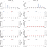 Hypoimmune induced pluripotent stem cells survive long term in fully immunocompetent, allogeneic rhesus macaques