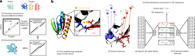 Fast and accurate protein structure search with Foldseek