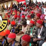 May 29: All Nigerian Politicians Should Be Swears In With Ogun, Amadioha – Ohanaeze Chieftain