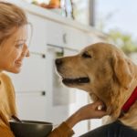 The Importance Of Pet Insurance In Managing Long-Term Conditions