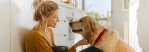 The Importance Of Pet Insurance In Managing Long-Term Conditions