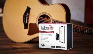 Product Review:  TaylorSense Smart Battery Box