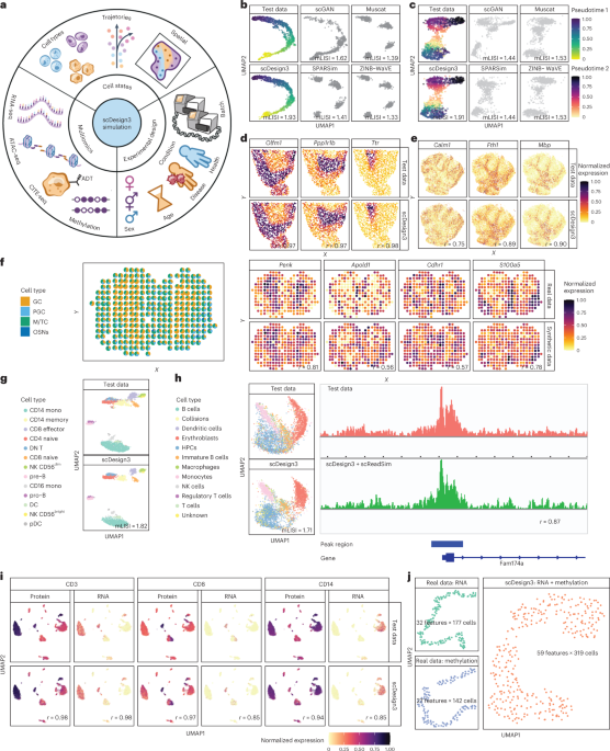 scDesign3 generates realistic in silico data for multimodal single-cell and spatial omics