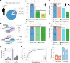 A prime editor mouse to model a broad spectrum of somatic mutations in vivo