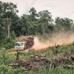 “Green” funds destroy Indonesia’s forests – Climate Weekly