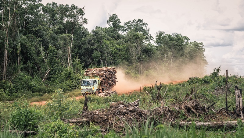 “Green” funds destroy Indonesia’s forests – Climate Weekly