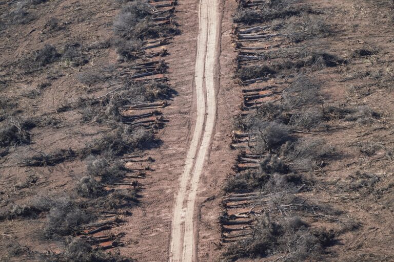 A mega-highway threatens South America’s vulnerable Gran Chaco