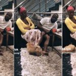 “Davido won’t like this” – Reactions as man shares rare video of Chioma and singer at home