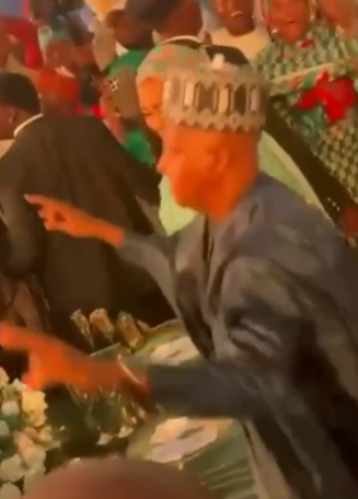 Trending video of Vice President Kashim Shettima showing off his dance skills