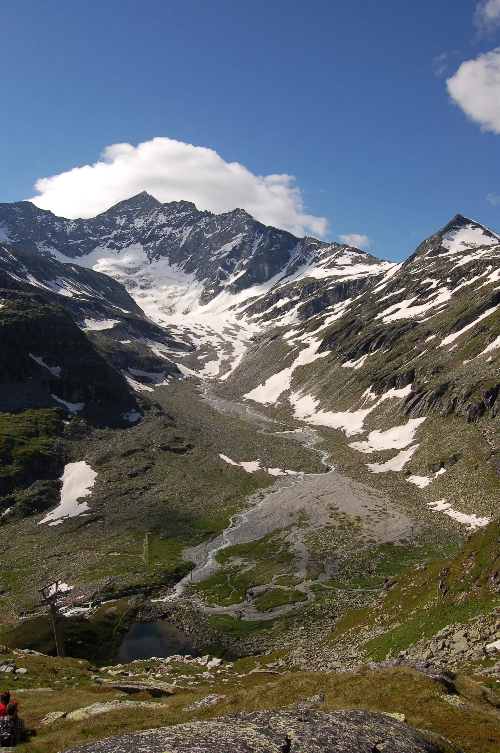 Climate Change Is Causing Alarming Habitat Loss in European Alps