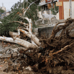 Cyclone Biparjoy hits Gujarat at 125 kmph,tears through houses, towers