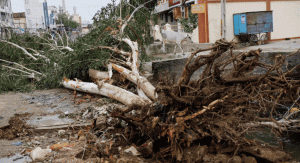 Cyclone Biparjoy hits Gujarat at 125 kmph,tears through houses, towers