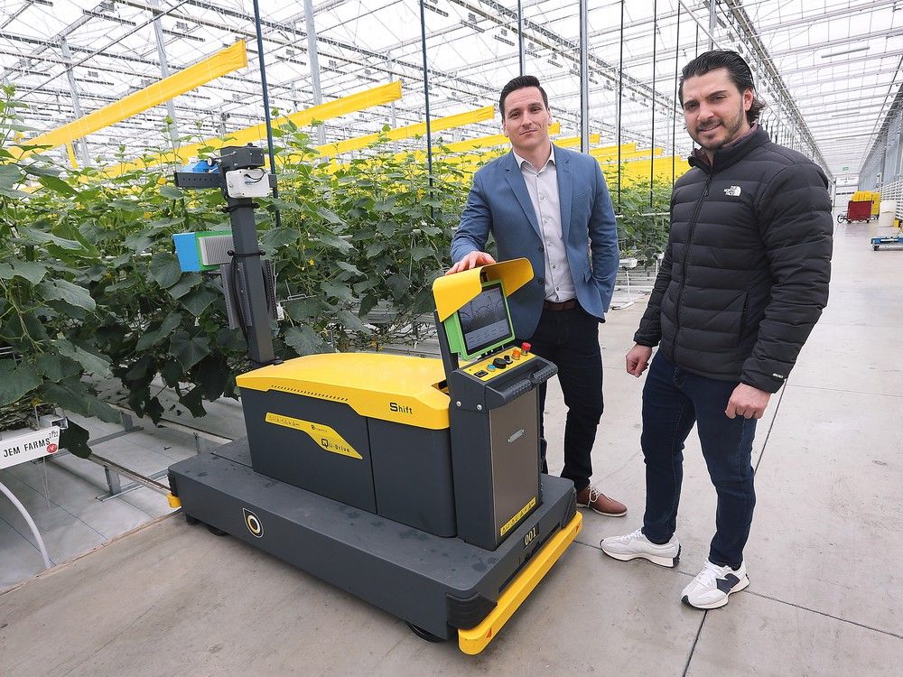 Research project to explore 5G use in greenhouse industry