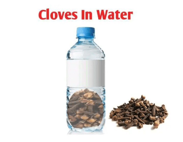 Benefits Of Taking Cloves Water On Your Sexual Health