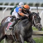 Everygame Belmont Stakes Free Bets: Claim $750 In Horse Racing Betting Offers