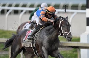 Everygame Belmont Stakes Free Bets: Claim $750 In Horse Racing Betting Offers