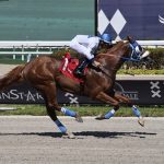 Il Miracolo Belmont Stakes Odds 2023: Run For The Carnations Outsider