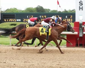 Red Route One Belmont Stakes Odds 2023: Preakness Fourth Back For More