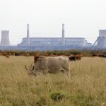 Local business group tries to keep South Africa’s coal plants alive