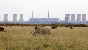 Local business group tries to keep South Africa’s coal plants alive