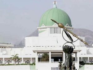 NASS Leadership: Decision to revisit zoning highly commendable, says group