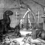 The real culprit behind the 1871 vandalism of the Paleozoic Museum in Central Park