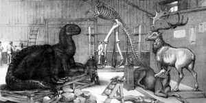 The real culprit behind the 1871 vandalism of the Paleozoic Museum in Central Park