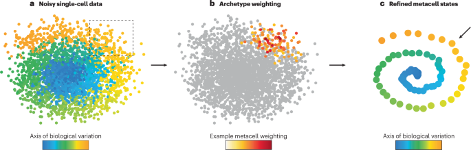 Subtle cell states resolved in single-cell data