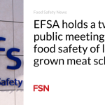 EFSA holds a two-day public meeting on food safety of lab-grown meat schemes