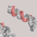 Drugging RNA