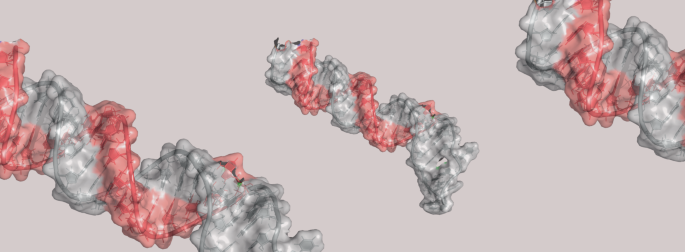 Drugging RNA